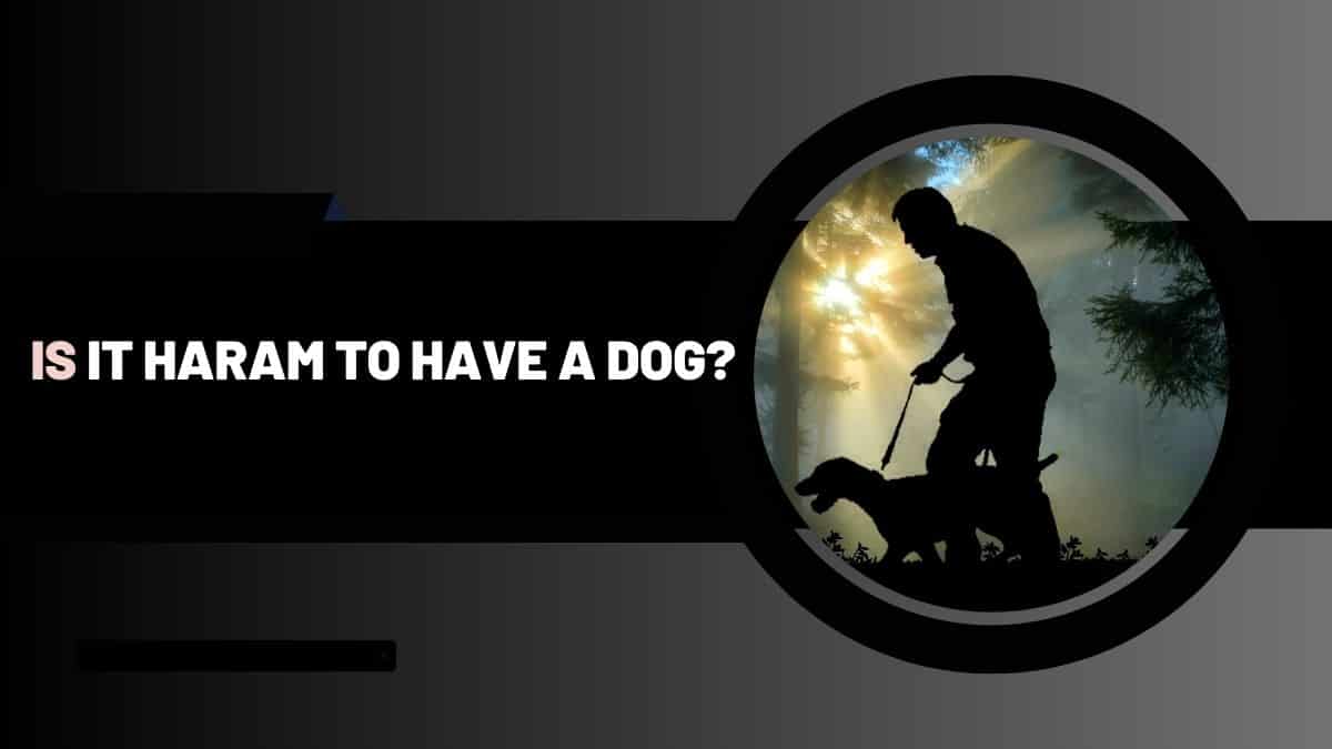 Is it haram to have a dog?