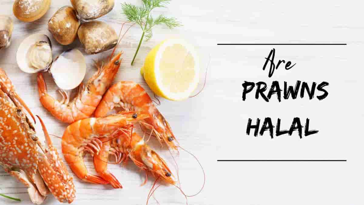 Are prawns halal? A theoretical analysis