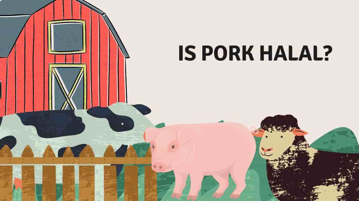 Is Pork Halal? Exploring the Islamic Perspective on Consuming Pork
