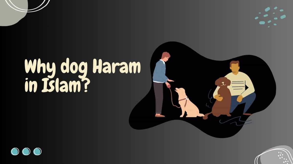 dog Haram in Islam?