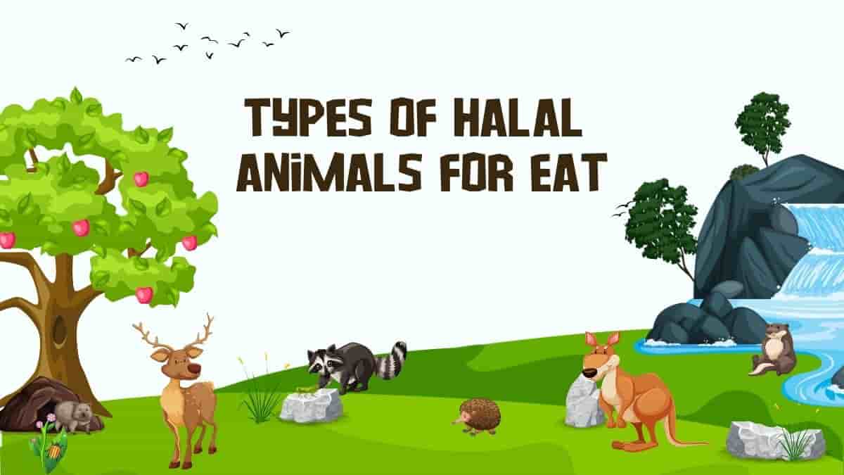 Which animals are halal