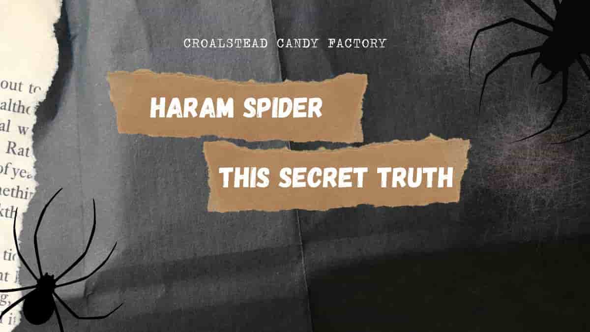 Haram Spider | You should know this secret truth