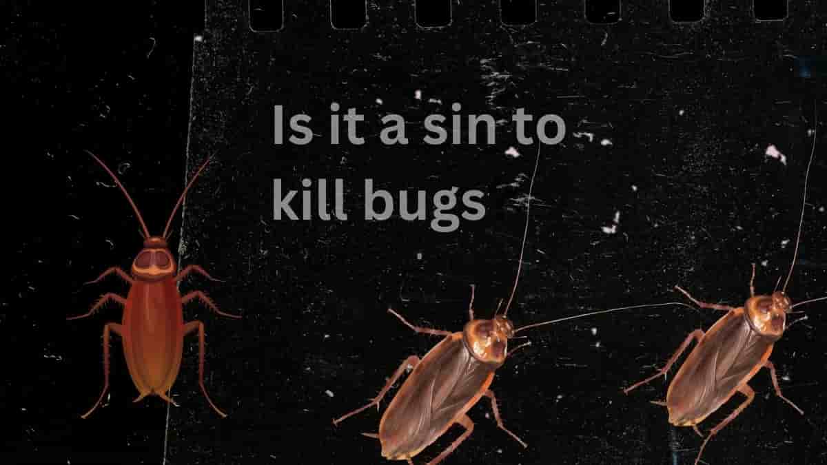 Is it a sin to kill bugs